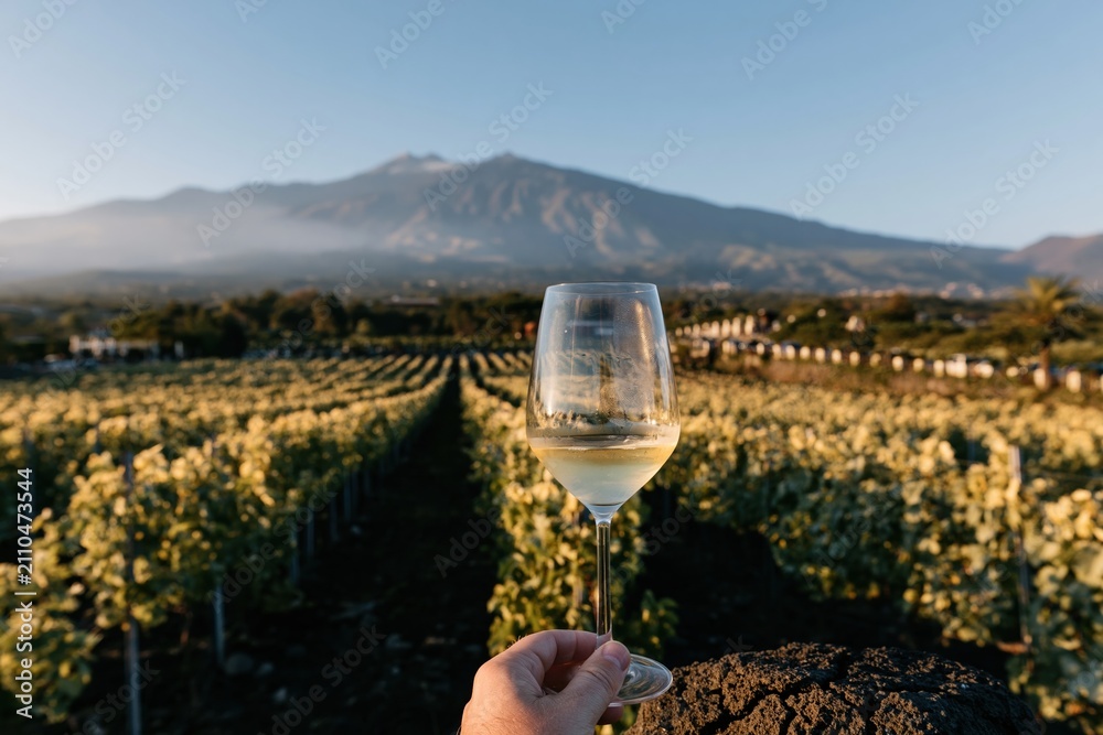 Obraz premium A glass of white wine held against the dramatic volcanic backdrop of Mount Etna in Sicily, overlooking sun-drenched golden vineyard rows for travel and viticulture imagery