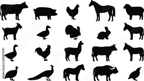 Fotografía Black silhouettes of farm animals and poultry collection including cow horse pig