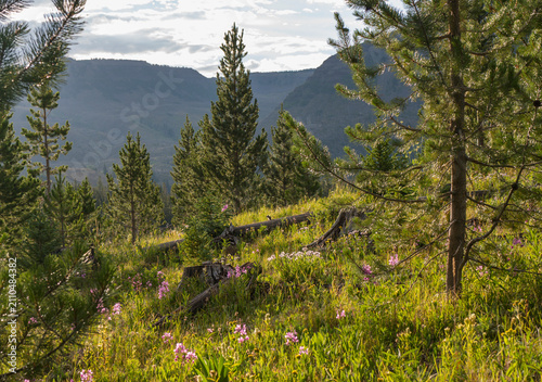 Flat Tops Trail Colorado