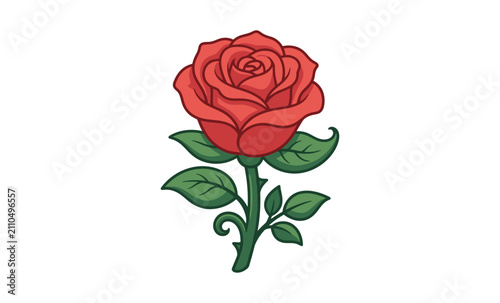 Red Rose Flower Vector Illustration