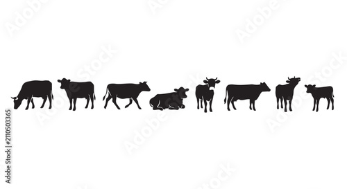 Cuadro en lienzo Row of black cow silhouettes in different positions and stances with silhouette