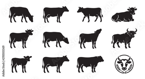 Cuadro en lienzo Black silhouette collection of dairy cows and bulls in various poses with silhou
