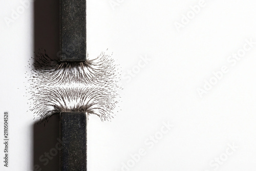 Two bar magnets with iron filings revealing opposing field lines on white for repulsion attraction invisible force and physics demonstration concept