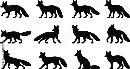 Bild auf Leinwand Collection of various fox poses and movements displayed in a distinctive black a