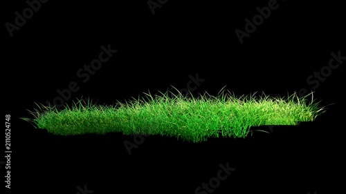 Seamless Loop of Fresh Grass Blowing on Transparent Background.