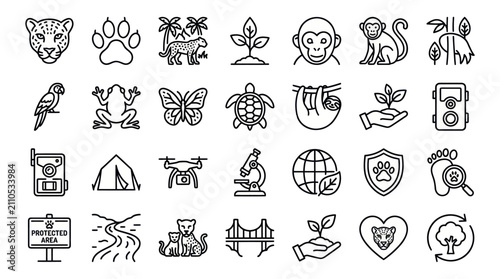 Photography Wildlife conservation and nature research linear icon set