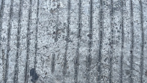 Fotografie Vertical grooved concrete texture background