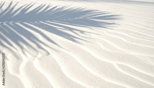 White sand dune texture with shadow of palm leaf