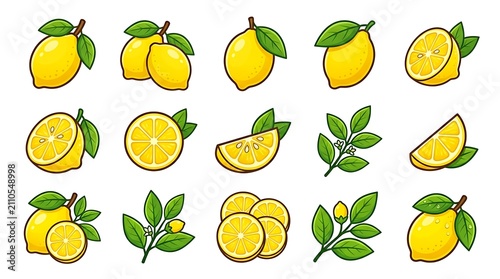 Assorted ripe and unripe lemons with leaves.
