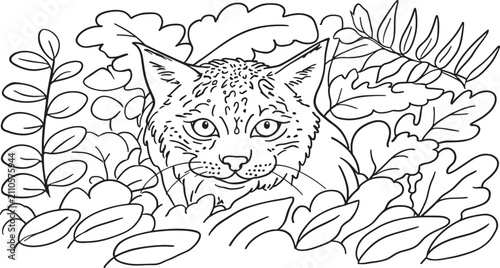 Canvas Print Wild Lynx Hiding in Leaves Foliage Line Art Vector Illustration Coloring Page fo