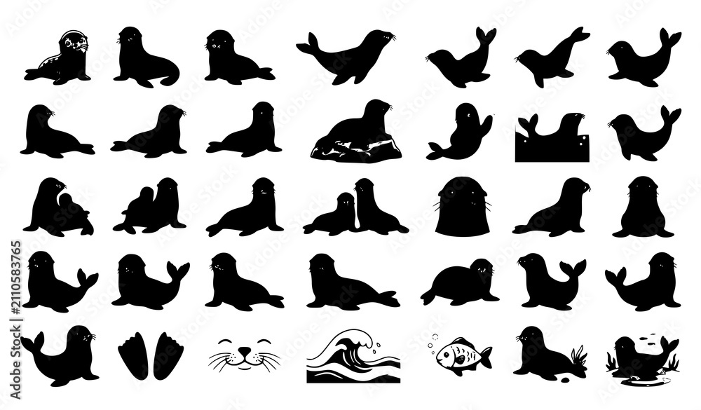 Fototapeta premium Cute Sea Lion Marine Wildlife Art Vector Collection Featuring Baby Pups Swimming Diving and Playful Ocean Animals