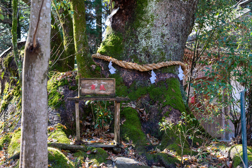 都農神社