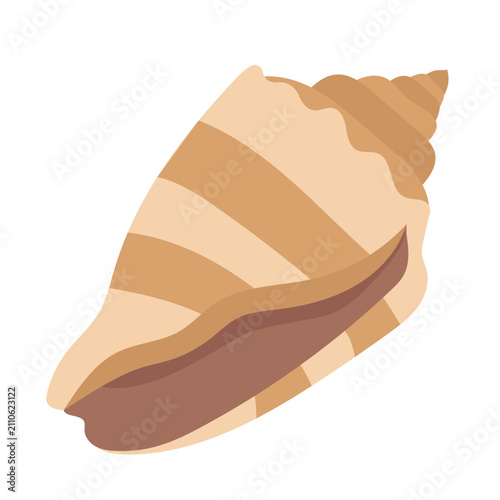 Marine spiral sea shell vector illustration. Flat cartoon beach ocean conch, underwater tropical souvenir isolated design element