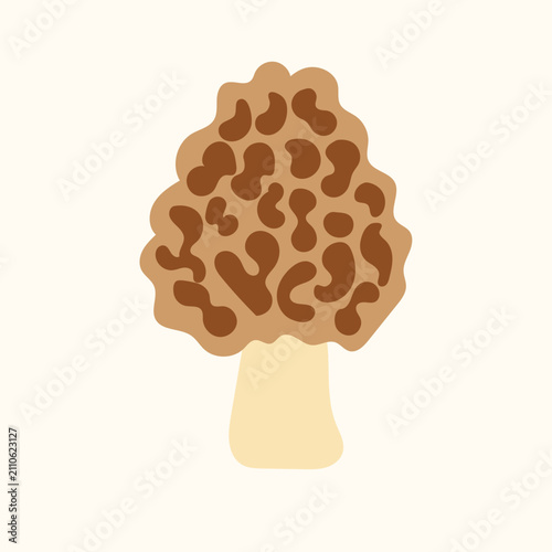 Wild forest morel mushroom vector illustration. Flat cartoon organic spring fungus, natural edible gourmet food isolated design element