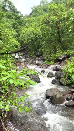 Seasonal water stream flowing through the lush Sahyadri mountain range during the monsoon in Maharashtra, India.