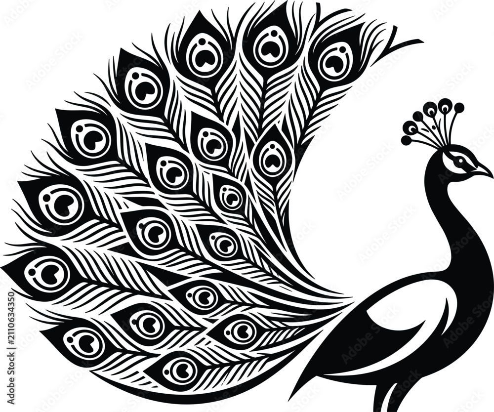 Fototapeta premium Elegant peacock stencil illustration featuring a majestic bird with highly detailed fanned plumage tail feathers vector graphic