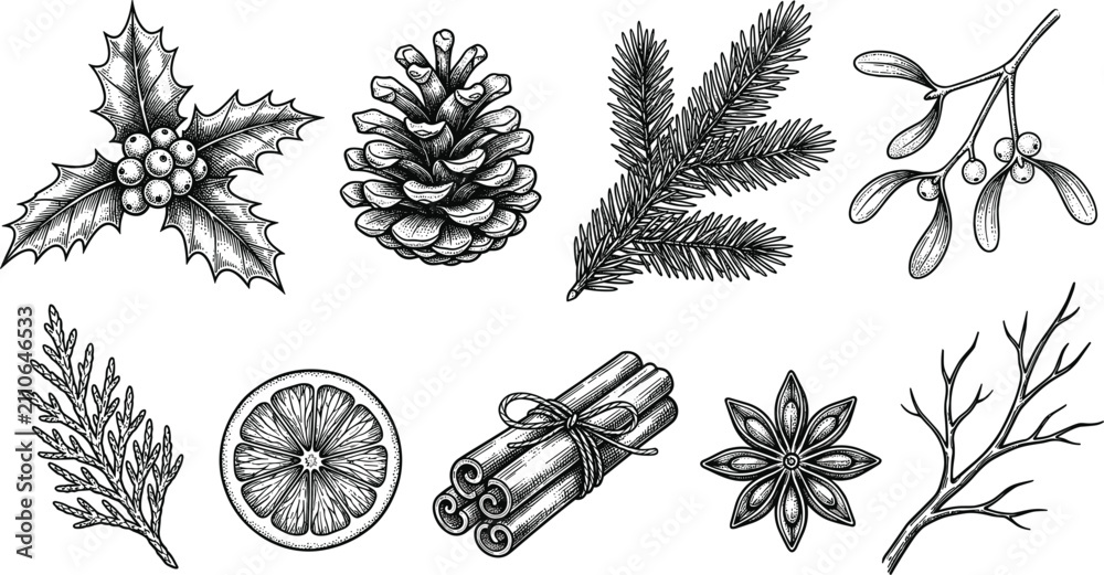 Obraz premium Christmas and Winter Botanical Sketch Illustration Set Featuring Pinecone Holly Mistletoe Fir Branch Orange Slice Cinnamon and Star Anise for Holiday Designs