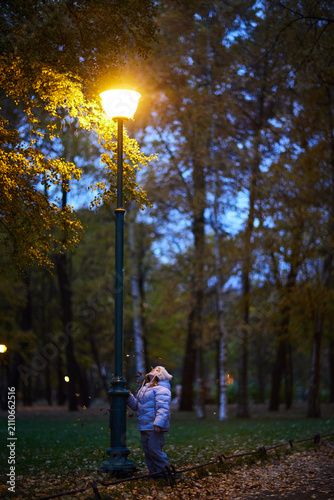 Child looks up at a street lamp in a park during dusk as trees surround the area with fallen leaves on the ground