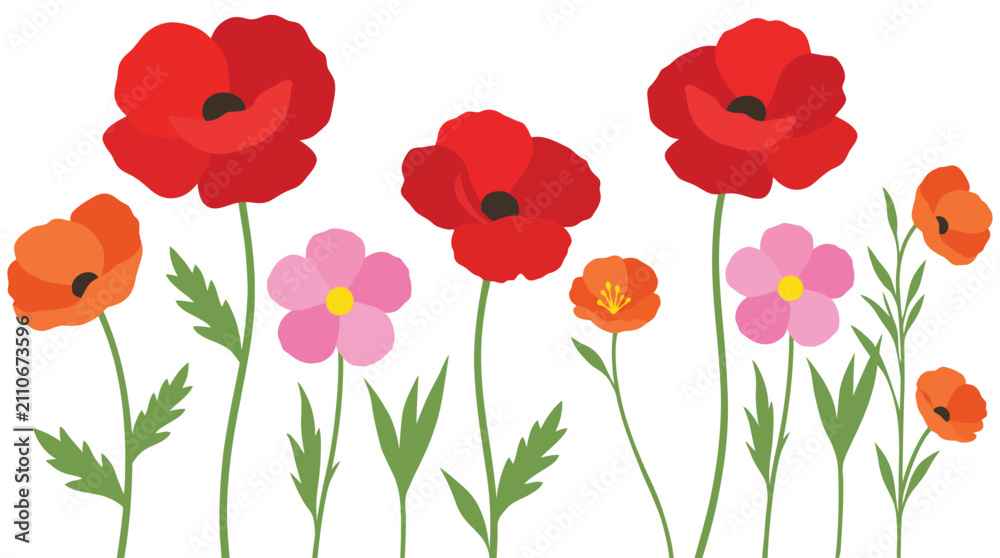 Fototapeta premium Red Poppy Flowers Collection Isolated on White Background, Vibrant Spring and Summer Floral Vector Illustration with Blooming Wildflowers, Leaves and Botanical Design Elements