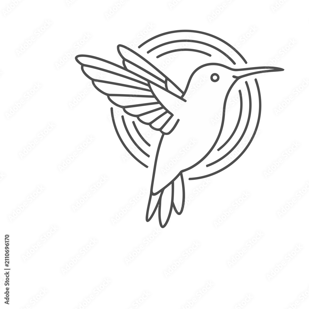 Fototapeta premium Hummingbird line art logo