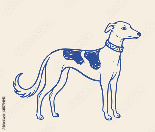 Billede på lærred Vintage greyhound dog vector illustration, hand drawn blue ink sighthound sketch
