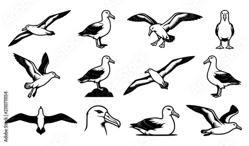 Bild auf Leinwand Seagull and Albatross Vector Illustration Bundle Featuring Oceanic Birds Flying