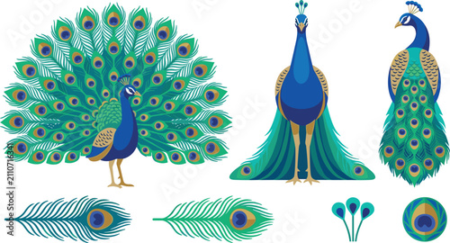 Ornate Indian Peacock Vector Set with Open Tail Feathers Profile and Front View Poses for Cultural Celebrations Mandalas and Luxury Textile Patterns