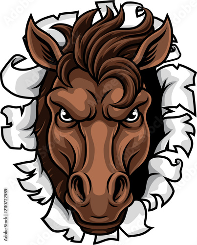 Horse Mustang Stallion Bron...