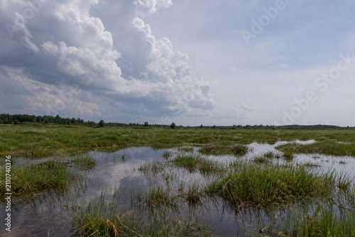 Obraz na płótnie 雨後の草地に点在する浅い水たまりと雲の反射