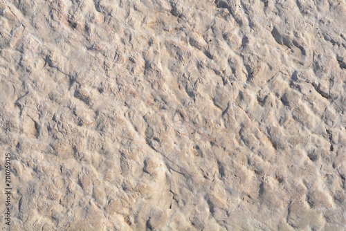 Obraz na płótnie A top view of a light beige stone surface showing a detailed natural texture wit