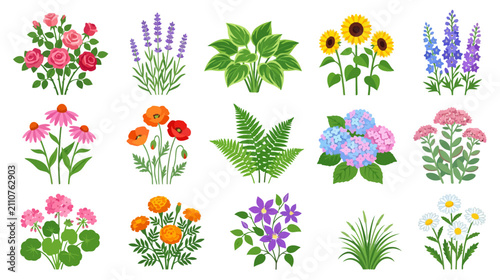 Vibrant Garden Blooms Collection: Roses, Sunflowers, Lavender, Poppies, Hydrangeas