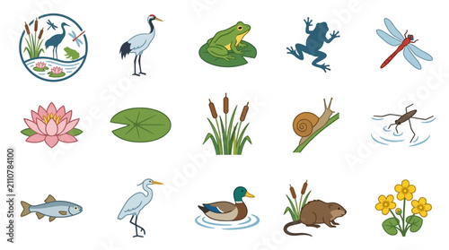 Dynamic Illustrated Collection of Wetland Wildlife and Flora with Colorful Frogs Birds Fish and Plants