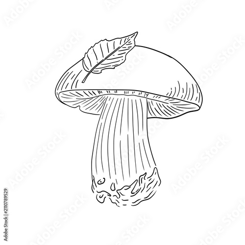 Black and white sketch illustration of a mushroom with a leaf on its cap. Hand-drawn vintage botanical style, ink line art, isolated on white background, minimalist nature design, forest element
