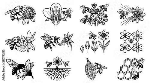 Hand-drawn Bee and Flower Illustrations: Nature, Pollination, and Honeycomb Icons
