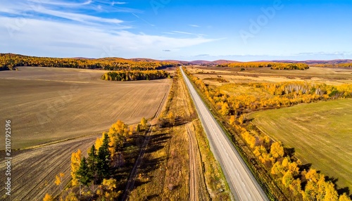 Aerial view of a straight, gray road cutting through fields and autumnal trees under a vibrant blue sky. Golden colors dominate