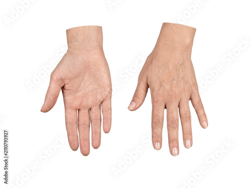 Close up view displaying both the palmar and dorsal sides of an adult human hand on a neutral gray studio backdrop.