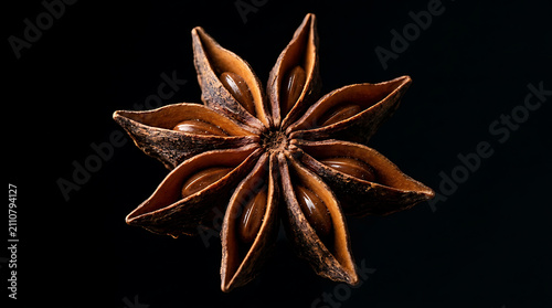Star Anise Macro Closeup Showing Seeds – Eight Pointed Spice on Black Background