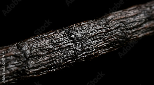Vanilla Bean Pod Macro Texture – Premium Gourmet Spice Ingredient Closeup Dark Background