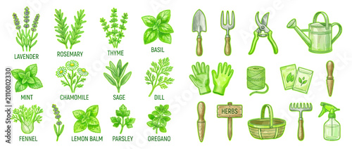 фотографія Watercolor Botanical Herbs and Gardening Tools Collection