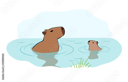 Capybara Mom and cute little Baby in water. Two capybaras take a bath and chilling. Wildlife animal illustration in sketch style