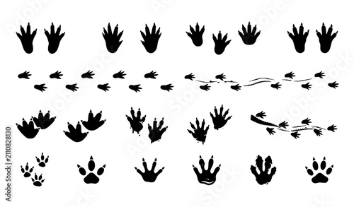 Collection of Animal Footprints, Dinosaur and Wildlife Track Silhouettes for Nature Exploration Vector Design