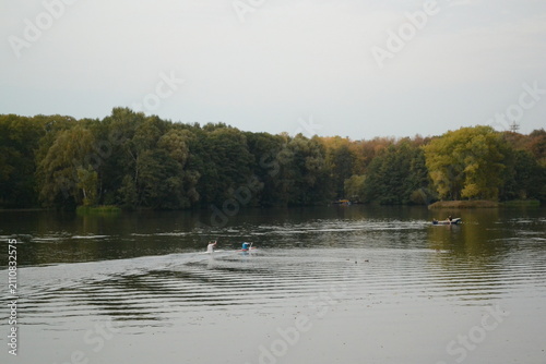 Park in the evening, fountains, lake, river