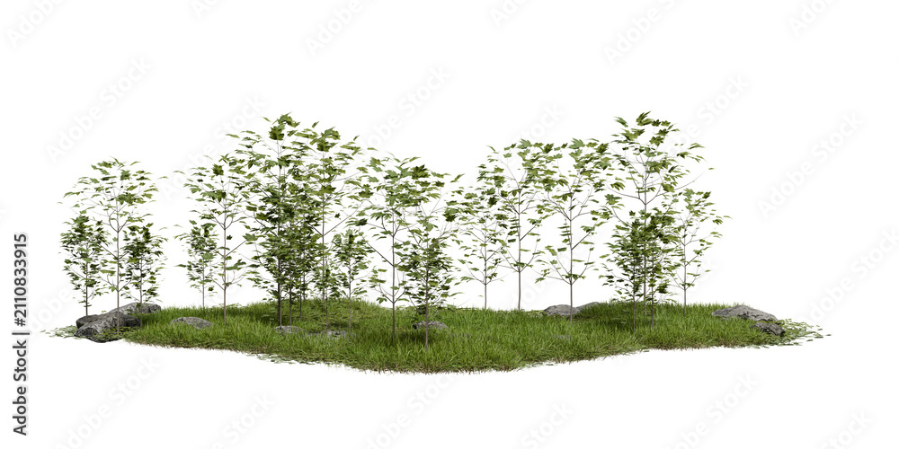 Obraz premium Young trees and grass grow together on small patch of land. setting is outdoors and scene shows green plants against clear background. 3d render