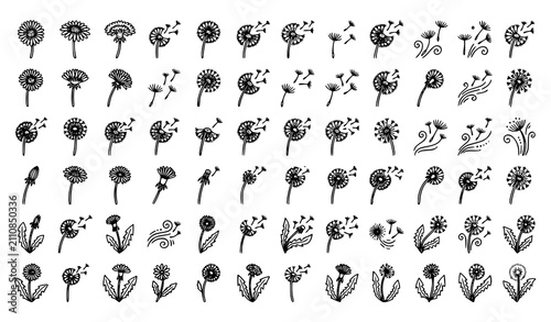 Fotografie Black and White Dandelion Flower and Flying Seeds Line Art Vector Collection Iso