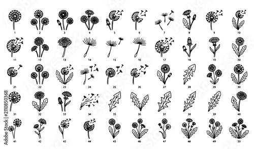 Fotografía Hand Drawn Dandelion Flower Botanical Icon Set with Blooming Plants, Seeds, Leav