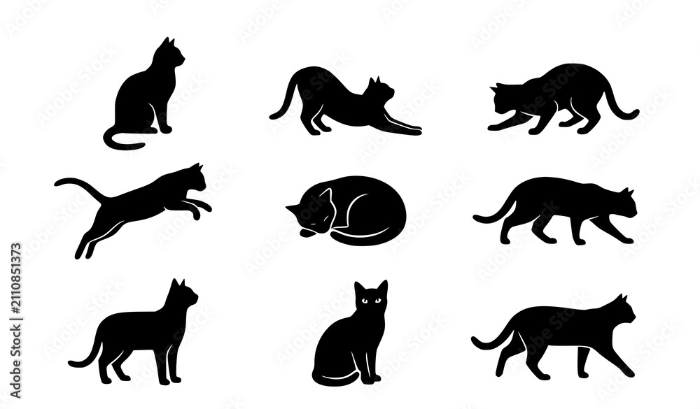Obraz premium Modern geometric cat line art vector illustration with colorful abstract shapes and structured polygonal feline designs