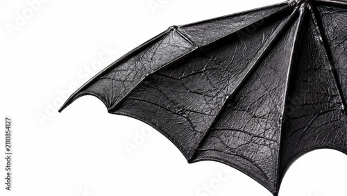 Black Leathery Bat Wing Texture Isolated on White Background