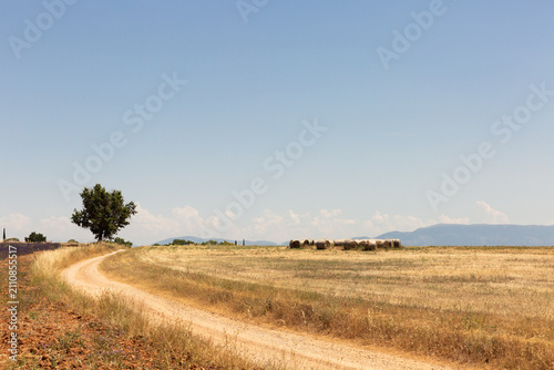 Chemin de terre dans un paysage de campagne avec un arbre au bord du chemin, champs de blé coupé séché, bottes de foin, collines et ciel bleu en arrière-plan