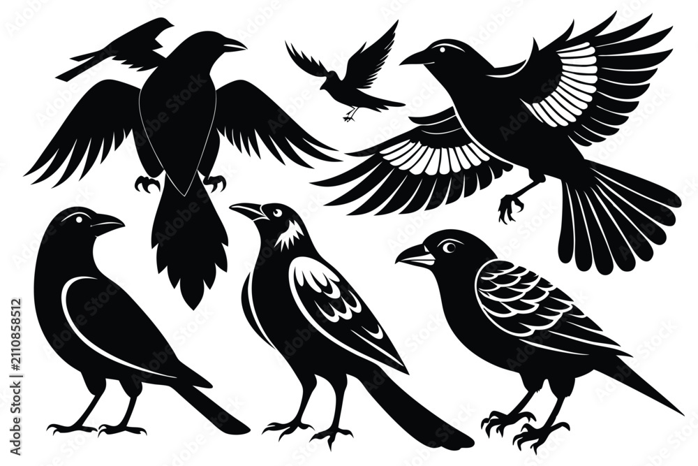 Obraz premium Black crow silhouettes collection featuring various poses for nature and wildlife designs