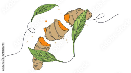 turmeric roots with leaves and abstract lines in illustration style on transparent background showing spice and cooking ingredient.
